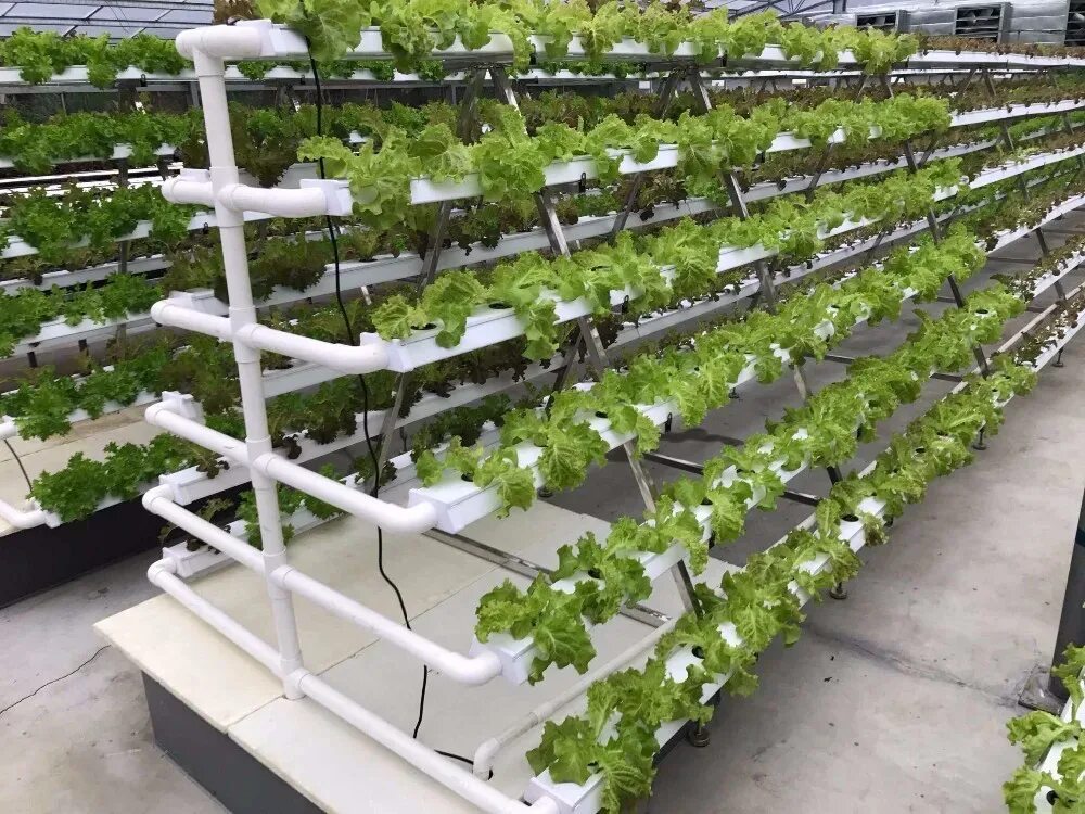 Nft events. Nft гидропоника. nft system hydroponic. стеллажи гидропоники nft. аэропоника оранжерея.