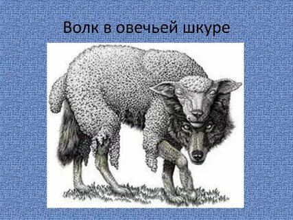 Отольются волку овечьи