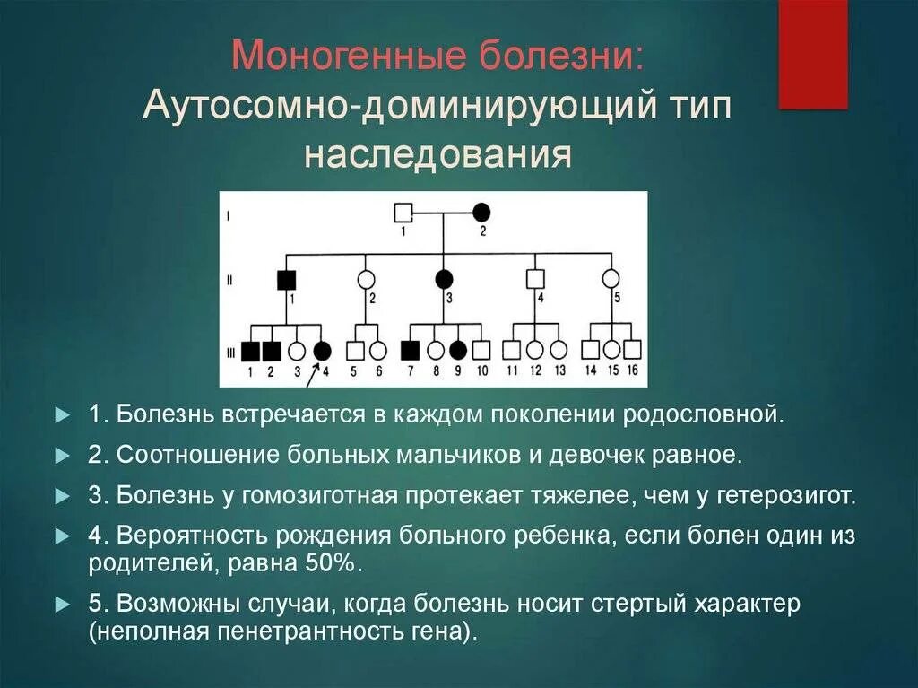 Аутосомно доминантная родословная. Как определить аутосомно доминантный Тип наследования. 1.Доминантный-аутосомно Тип наследования. Аутосомно-рецессивный Тип наследования в родословной.