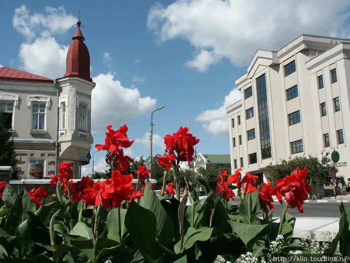 Старый оскол жить. Старый Оскол исторический центр. Старый Оскол площадь города. Старый Оскол центр города. Старый Оскол достопримечательности.