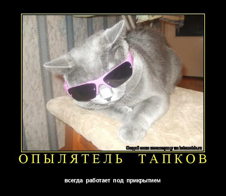 у нас круто картинки. гимн 5 класса. It-шники вы крутые. запорожец и 600 мерседес. круто ты попал.