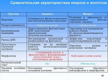 Виды некроза таблица