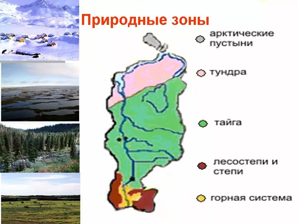 В какой зоне находится красноярский край. Природные зоны Красноярского края. Природные зоны краснояркогткрая. Карта природных зон Красноярского края. Климатические зоны Красноярского края.