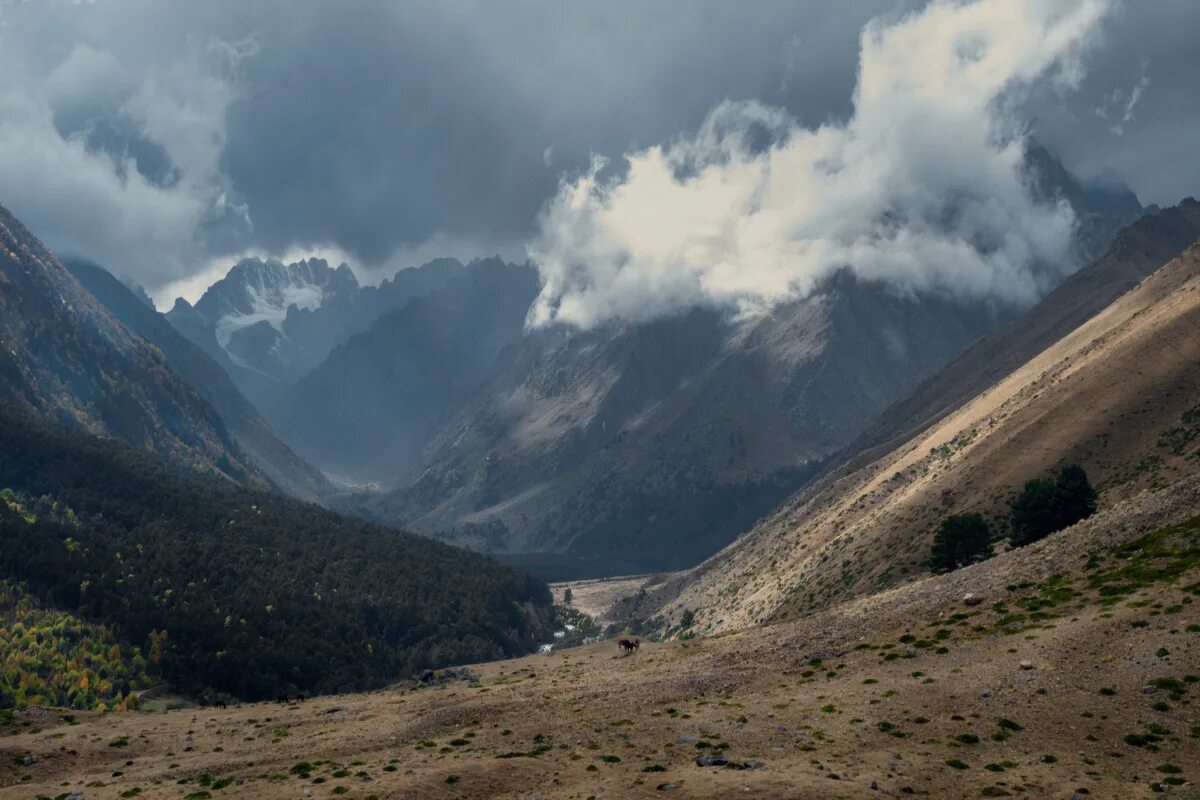 Стих и горы встают перед ним. Кто автор и горы встают перед ним на пути и он по горам начинает ползти. А горы уходят под самые. Парень в горах. И горы встают перед ним автор и название произведения.