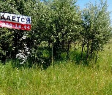 Дарковичи брянская область