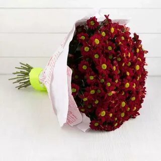Букет красных хризантем