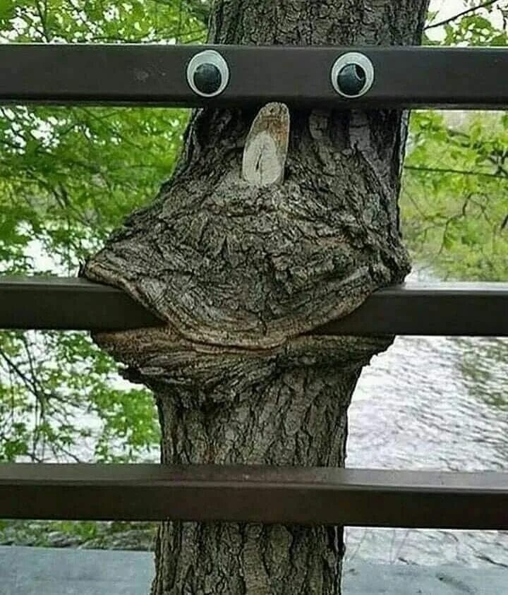 Отдых на природе карикатура. Поход карикатура. Анекдоты про олю. Демотиваторы про природу. Карикатуры на тему экологии.