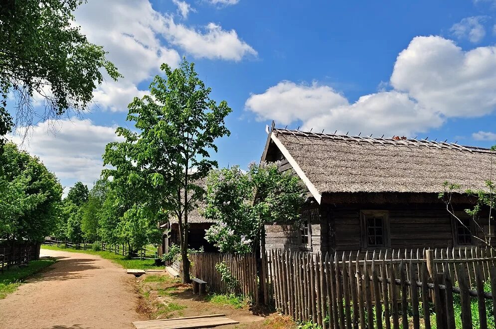 Купила деревню в белоруссии. Деревни Белоруссии. Белоруссия деревня тавцвелы. Белоруссия деревня Бирча. Деревня Дуброва в Белоруссии.