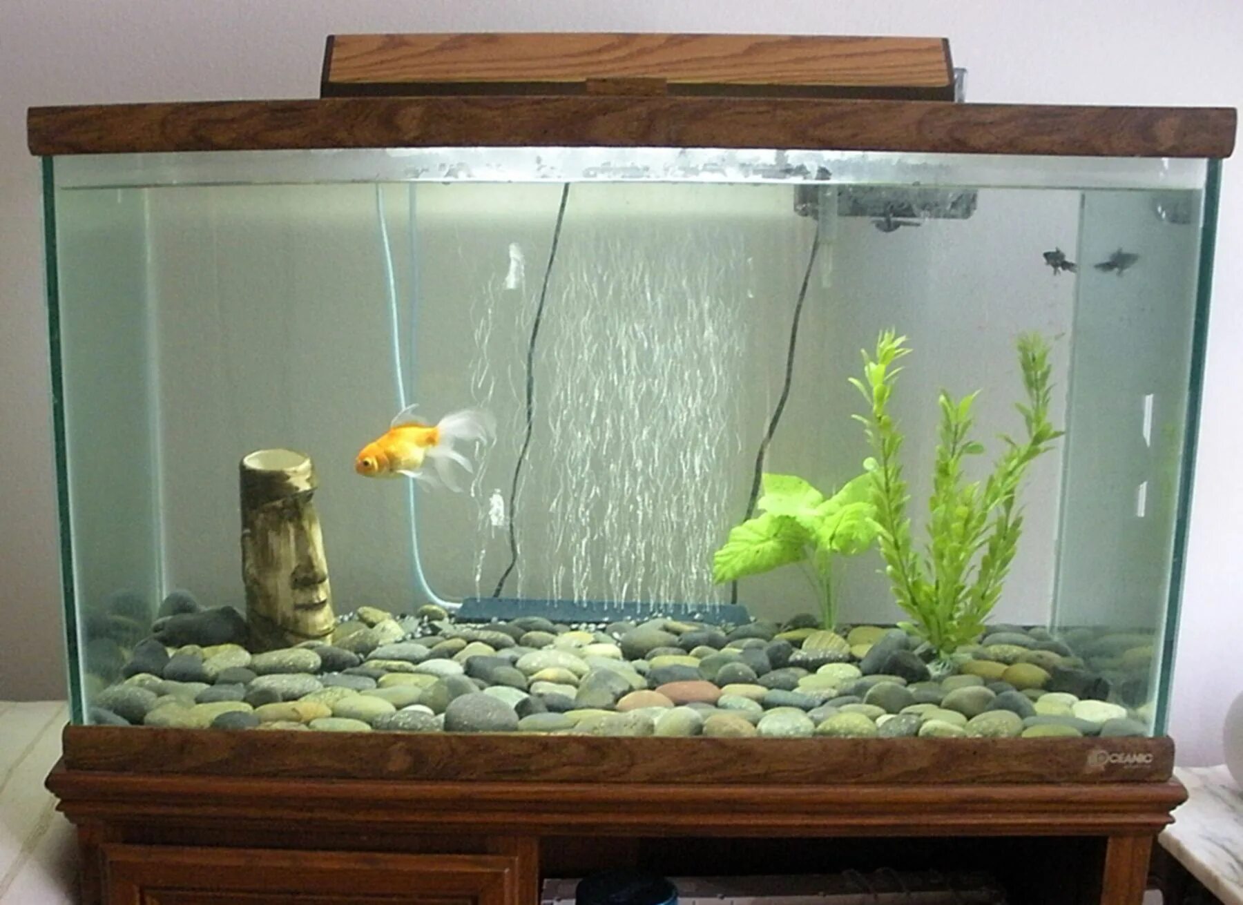 Остров в аквариуме акваскейп. Маленький аквариум. Как ухаживать за рыбками в аквариуме. Акваскейп травник. Акваскейп в аквариуме 300 литров.