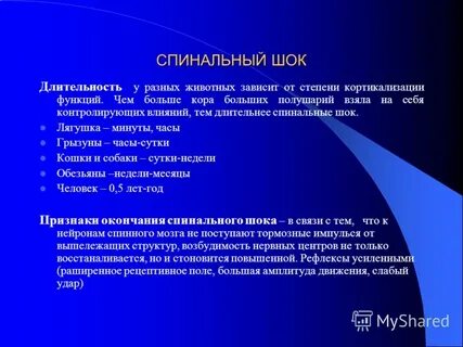 Спинальный шок механизм
