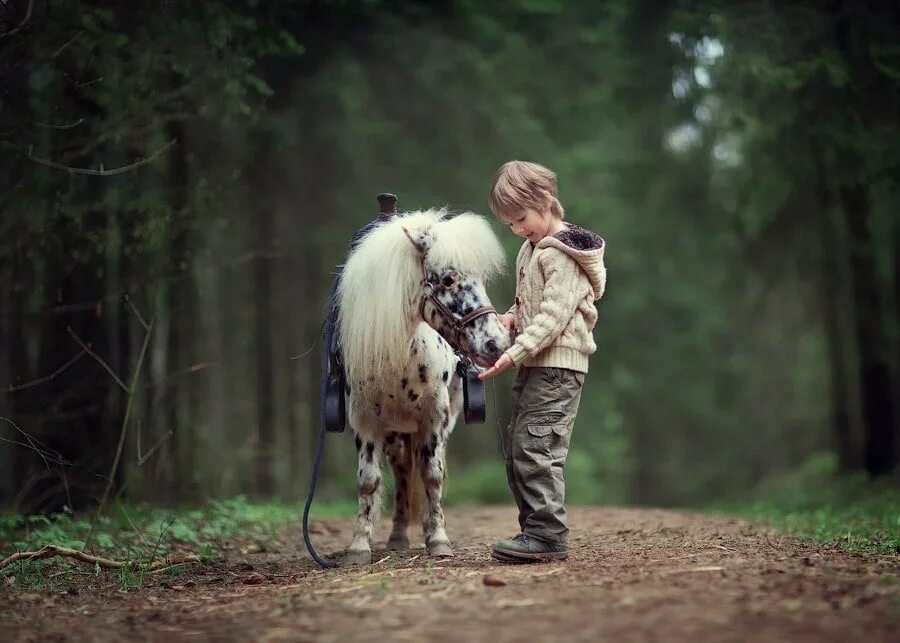 ловит лукошком лошадку. смешной всадник на коне. мальчик на лошади. Robert duncan художник. роберт дункан живопись лошади.