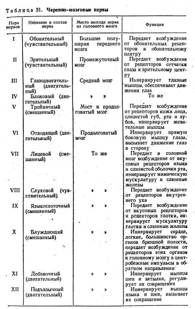 Перечислите черепные нервы. Мозговые нервы 12 пар таблица. 12 Пар черепно мозговых нервов таблица ядра. Характеристика 12 пар черепных нервов таблица. Функции 12 пар черепно-мозговых нервов (ЧМН)..