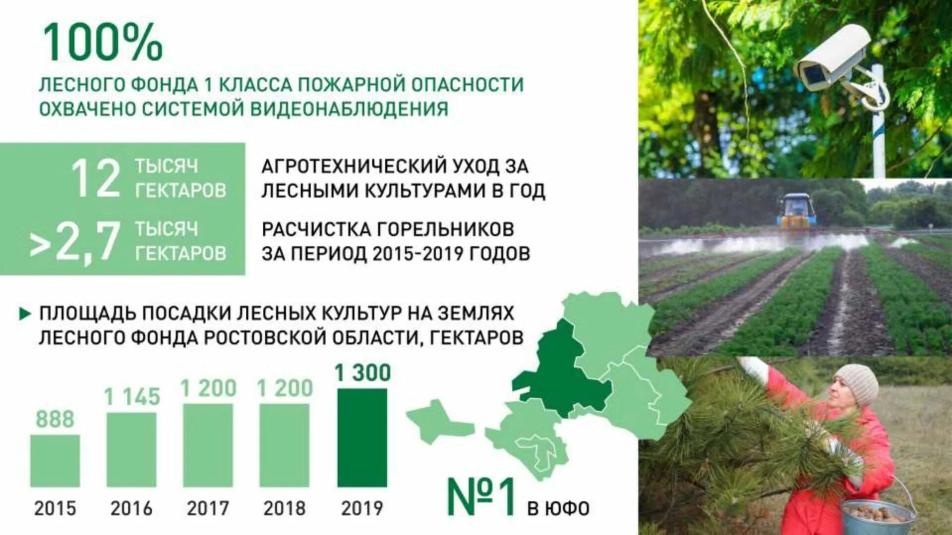 Площадь посадок
