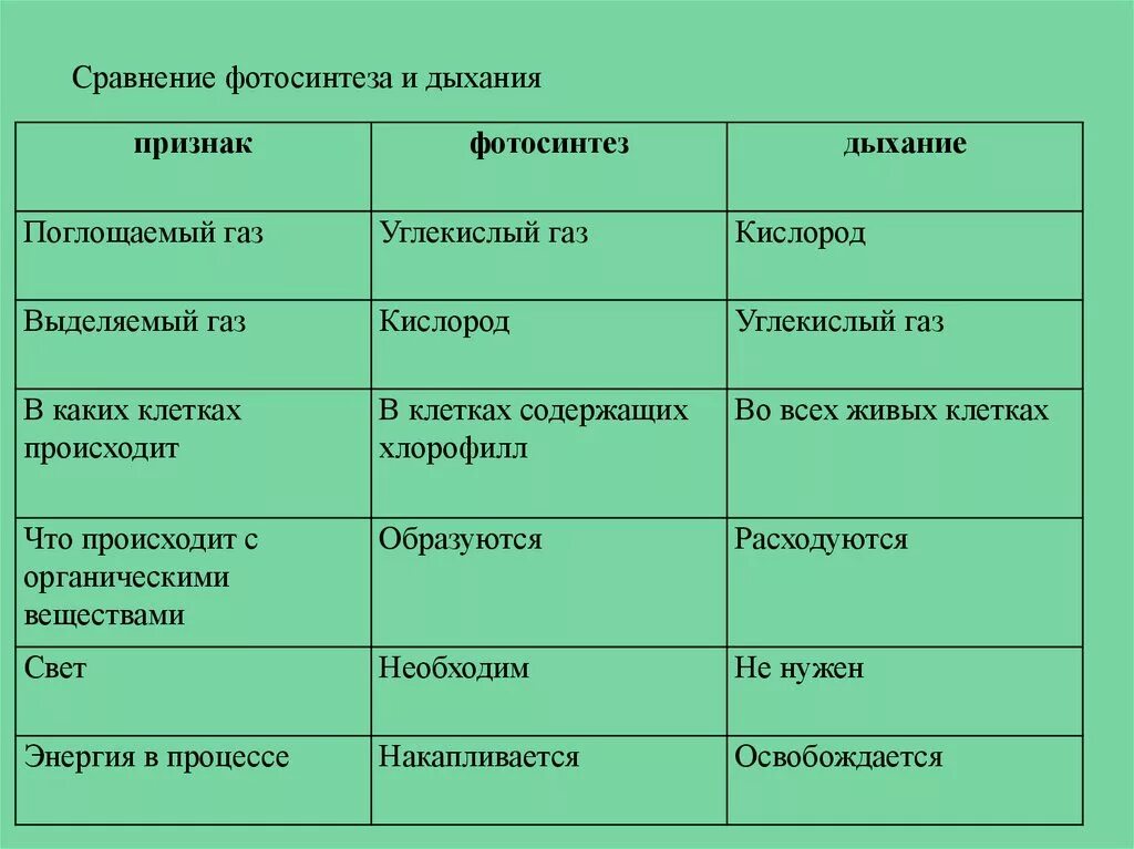 Таблица сравнение дыхания. Сравнение процессов фотосинтеза и дыхания таблица 6 класс. Таблица сравнение процессов фотосинтеза и дыхания. Сравнительная характеристика фотосинтеза и дыхания. Таблица по биологии 6 класс сравнение процессов фотосинтеза и дыхания.