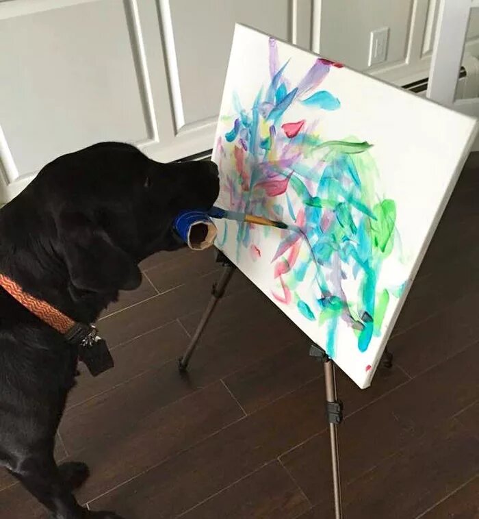 Painted dogs. Собака Хантер художник. Художница с собакой. Собака рисует картины. Художники рисуют собак.