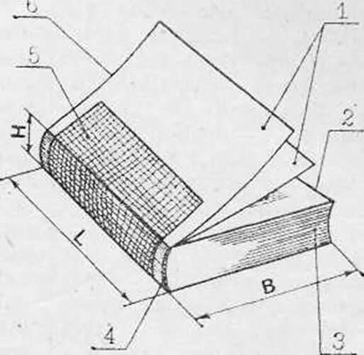Верхний обрез книжного блока. Детали книжного блока. Книжная конструкция блока. Детали книжного переплета. Читать книгу переплет