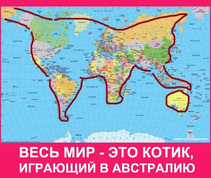 Мир котик. Кот играющий в австралию. мир это котик играющий в австралию. котик играется с австралией. земля это кот играющий в австралию.