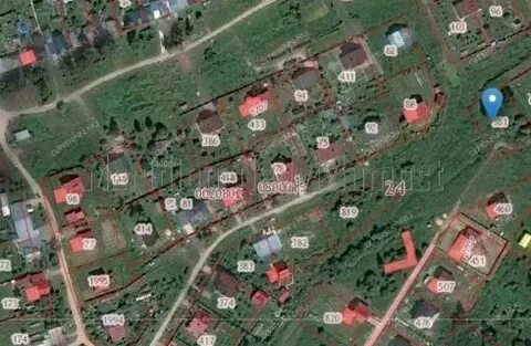 Богородск березовка