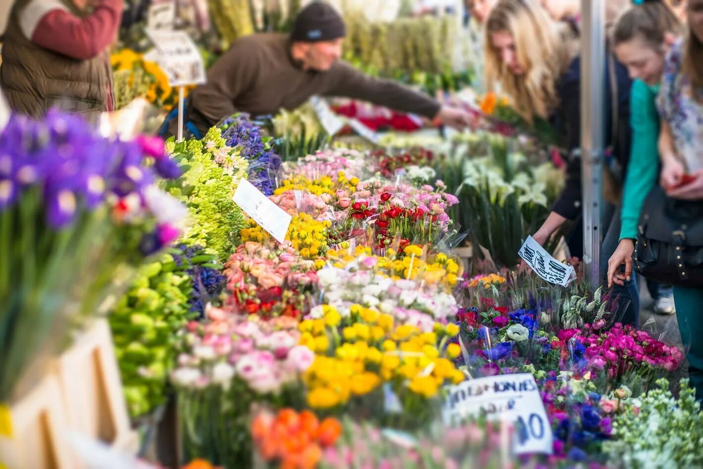 Новый цветочный рынок. Цветочный рынок в Европе. Цветочный рынок Амстердам. Цветочный базар. Цветочный рынок СПБ.