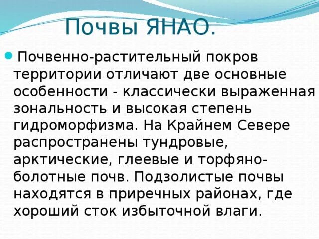 Большеземельная тундра. Почва янао. Тундра ненецкий автономный округ. Сведения о почвах ямала. Сведения о почвах ямала.