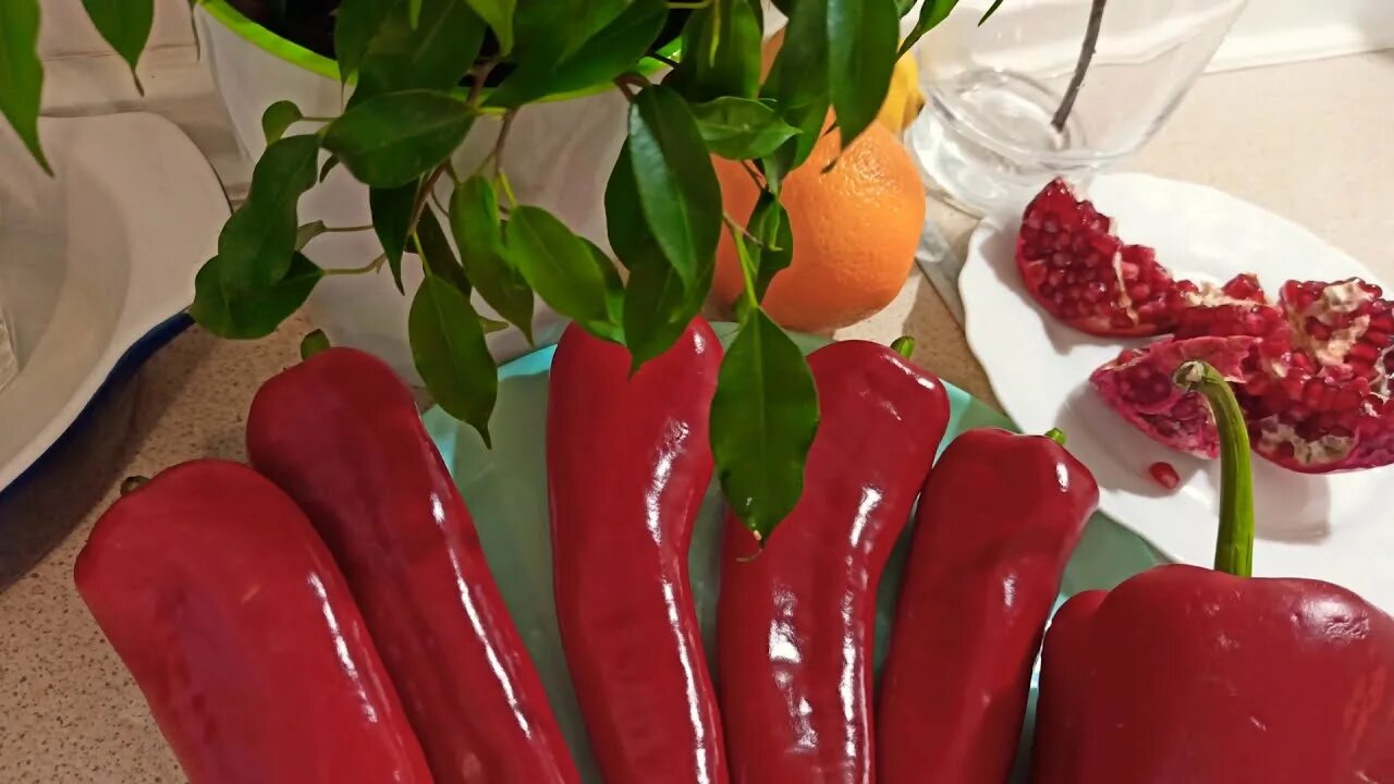 Перец кап. Cap 455 перец баккатум. Сладкий перец куртовская капия. Перец сладкий ариэль. Перец сладкий капия красная.