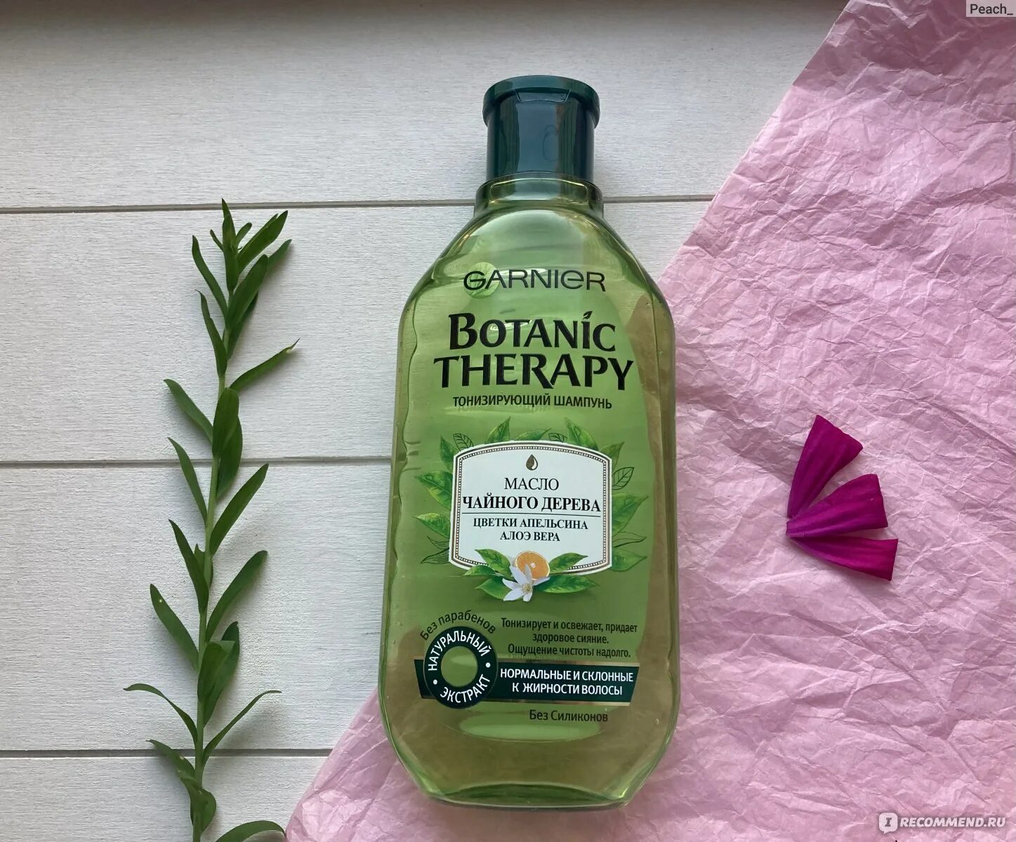 Garnier шампунь Botanic Therapy масло чайного дерева. Шампунь с экстрактом чайного дерева. Шампунь с чайным деревом. Шампунь ботаник терапия чайное дерево. Купит шампунь ботаник