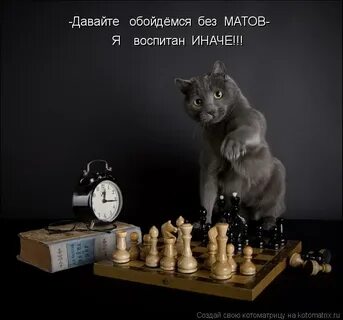 Интеллектуальная полночь пятница