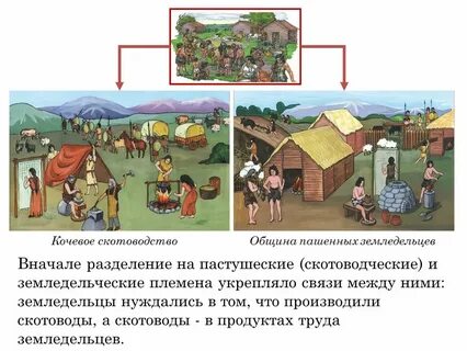 Скотоводческие племена