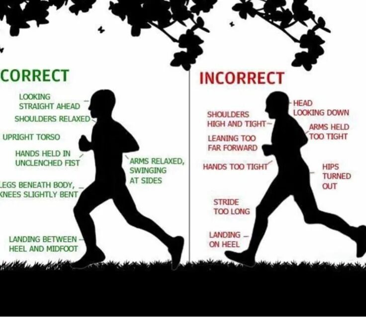 Run 2 form