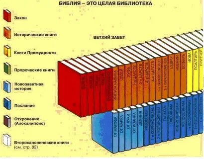 Сколько книг в 11 классе