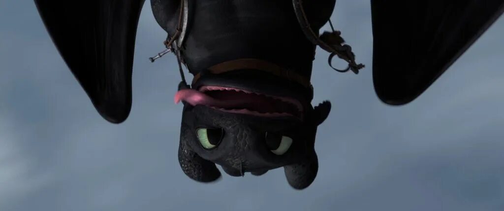 Дракон мем. Дневная фурия и иккинг. Как приручить дракона смешно. Смешной беззубик. Как приручить дракона смешно.