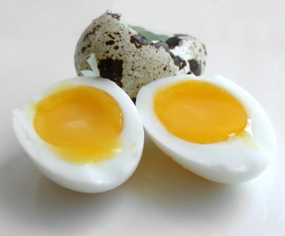 Eggs wiki