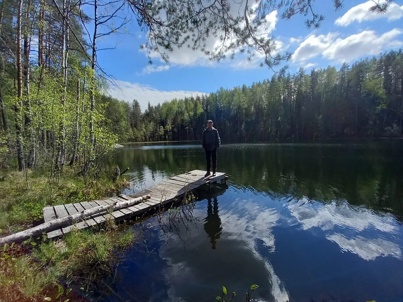 Финское озеро 5. Лесное озеро. Финские озера. Изумрудное озеро. Вода озеро.