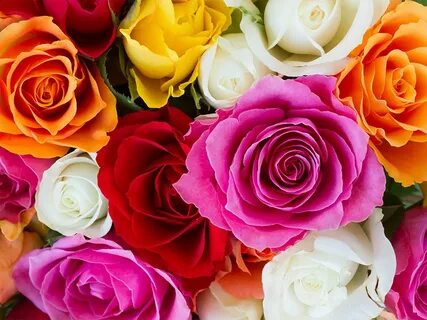 S flowers