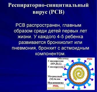 Рс вирусная
