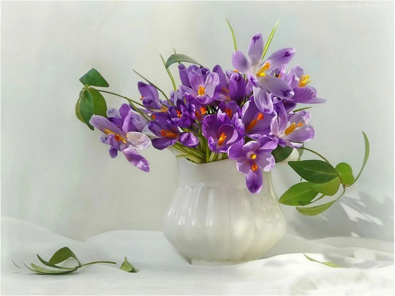 Благословенного утра и прекрасного дня. Крокусы натюрморт. Крокусы в вазе. Весенние цветы в вазе. Нежные крокусы в вазе.