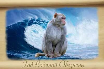 1992 какого животного