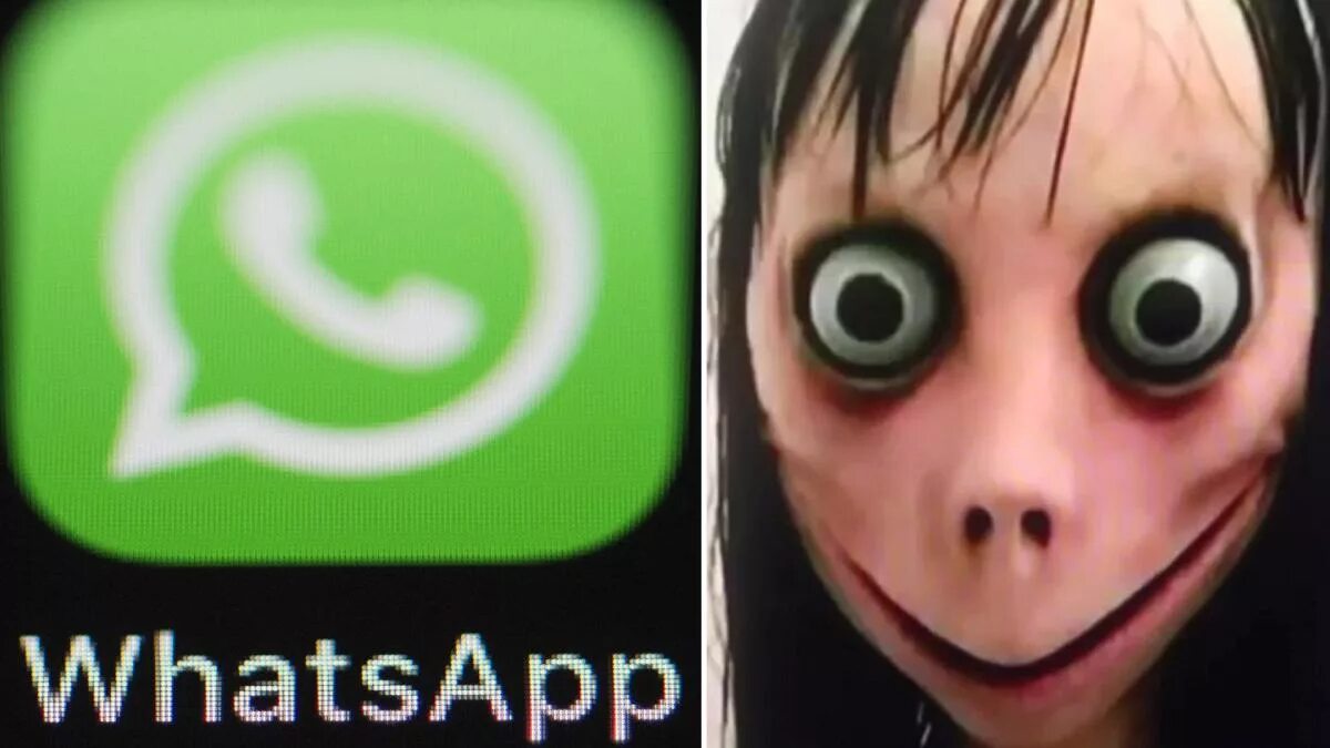 Группа в whatsapp momo. Момо вацап. Момо вацап. Номер момо настоящий. Момо вацап.