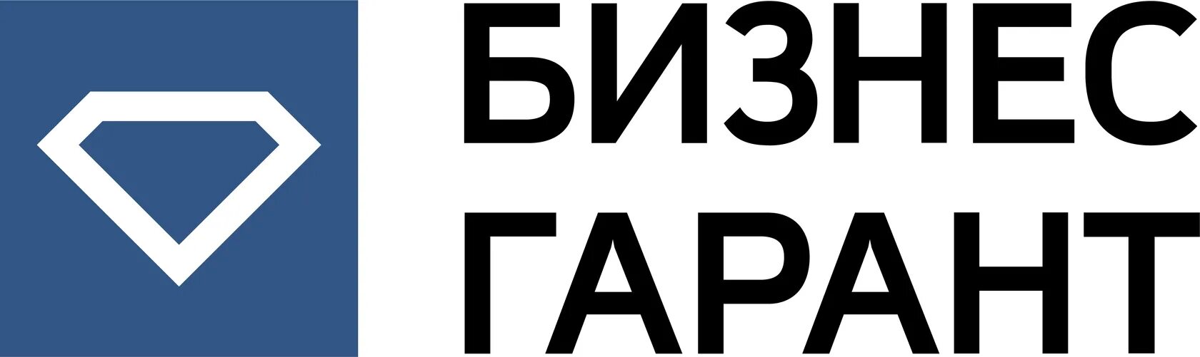 Бц гарант. Бизнес Гарант. Бизнес Гарант логотип. Бизнес Гарант Самара. Франшиза бизнес-Гарант.