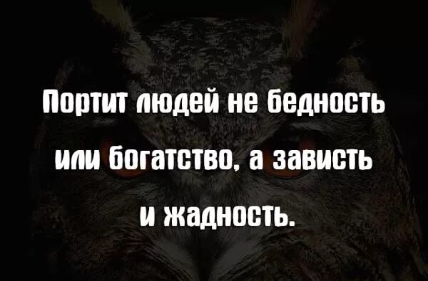 Высказывания о скупости. Высказывания о жадности. Цитаты про скупость. Цитаты про жадность. Алчные люди цитаты.