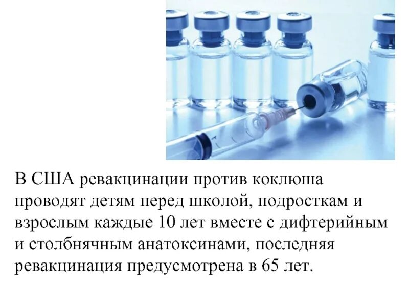 Коклюш антибиотики. Антибиотики при коклюше у взрослых. Антибиотики против коклюша для детей. Антибиотик от коклюша.