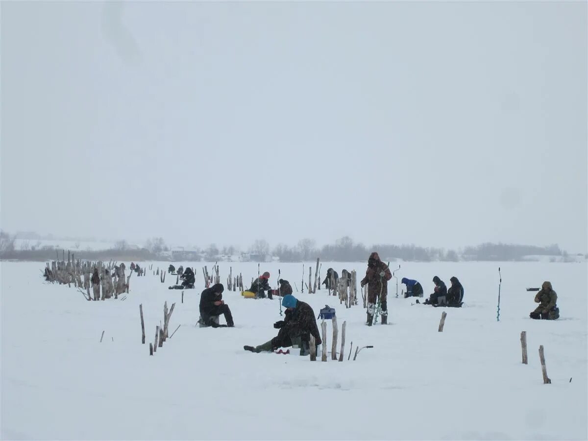 Зимняя рыбалка в самарской. Зимняя рыбалка в самарской. Зимняя рыбалка в самарской. Э окунь на раскумарся. Зимняя рыбалка на судака.