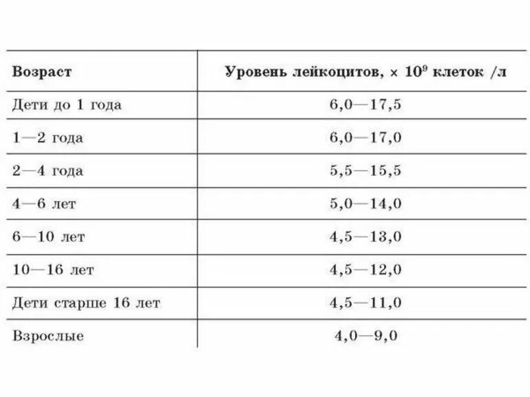 Лейкоцитов и эритроциты повышены у ребенка. Норма лейкоцитов в крови у детей 1-2 лет. Норма лейкоциты 2 года лейкоцитов в крови у детей. Норма лейкоцитов в моче у ребенка 7 лет. Норма лейкоцитов в крови у ребенка 3 года.