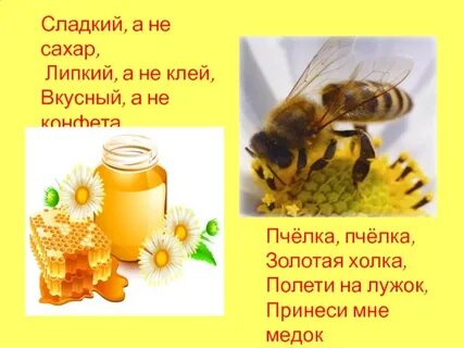 Пчелка пчелка золотая холка