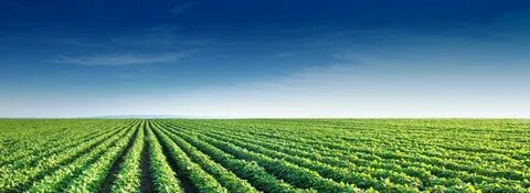 Crop agro
