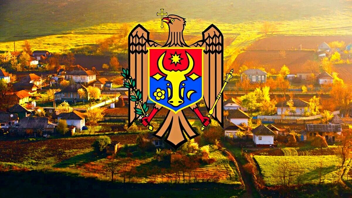 Молдова и молдова одно и тоже. Молдавия и Молдавия. Флаги городов Молдавии. Молдавия Эстетика Кишинев. Молдова флаг в городе.