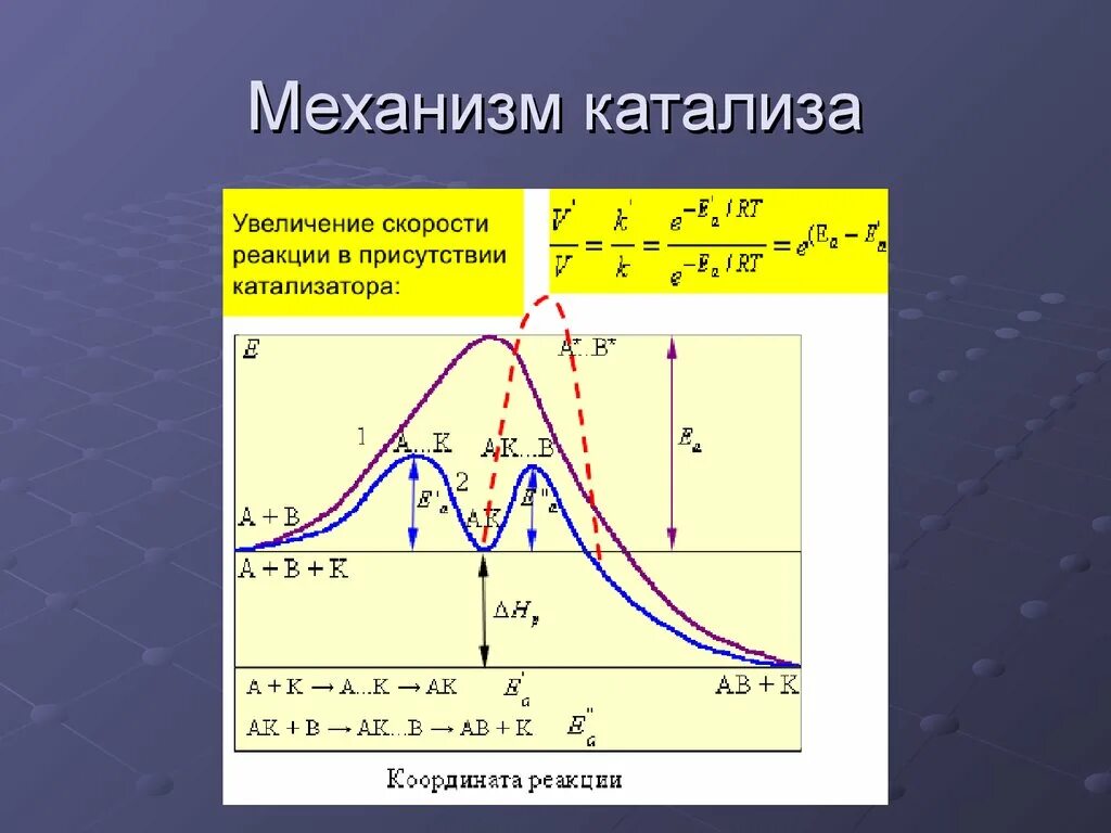 Механизм катализа. Механизм протекания катализа.. Механизм гомогенного катализа. Основный катализ механизм. Механизм ферментативного катализа.