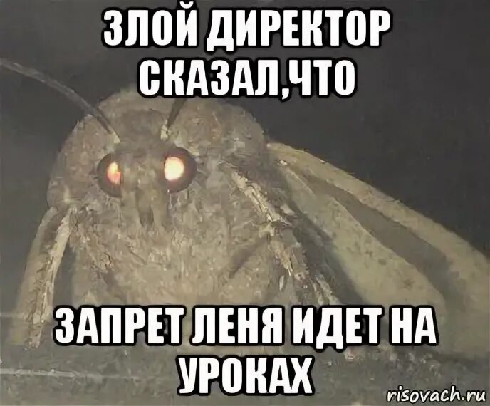 Приколы про леночку. Мемы про лёню. Леня лох. Плыви отсюда. Камень я не дам мем.