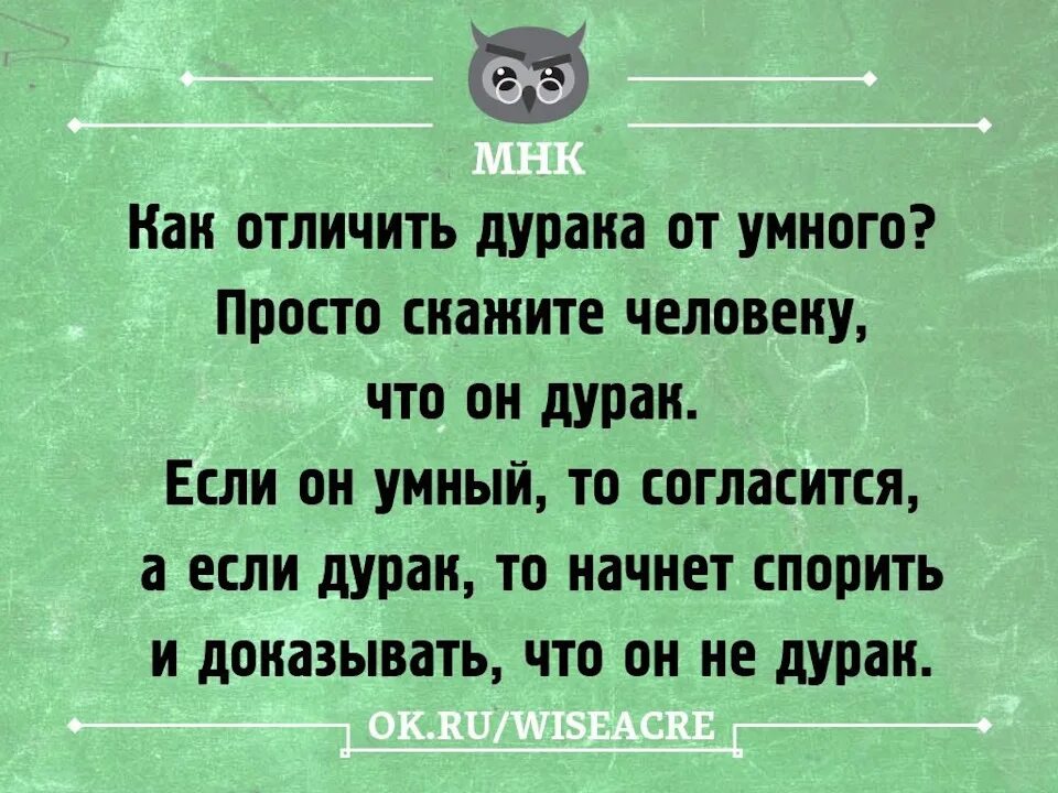 Почему говорят умный. Афоризмы про дураков и идиотов. Поговорки про дураков. Мудрые высказывания про дураков. Высказывания о дураках.