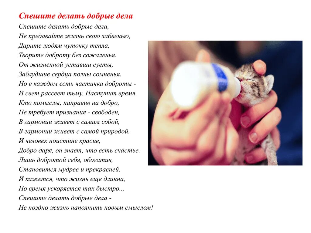 Делай добрые дела стихотворение. Спешите делать добрые дела. спешите делать добро стихотворение. спешите делать добрые дела стихотворение. спешите делать добрые дела стихотворение яшина.